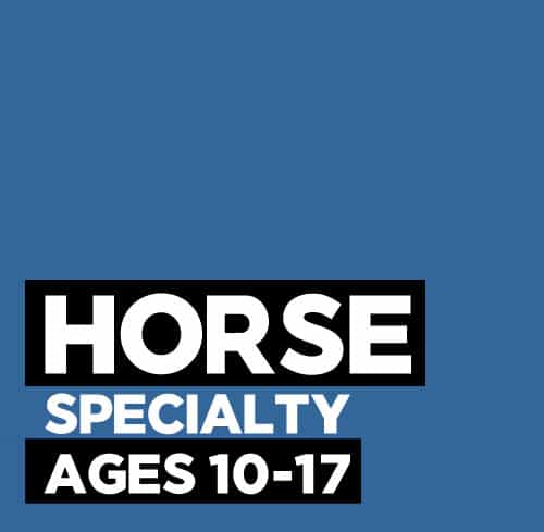 Horse Specialty Camps